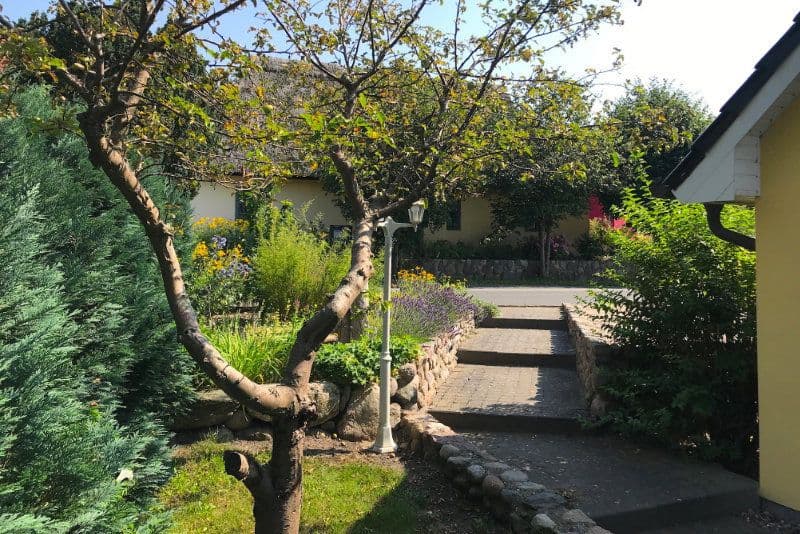 Prodej domu 244 m², pozemek 13.600 m², Dorfstraße, 16, Neuenkirchen, Mecklenburg-Vorpommern Prodej domu 244 m², pozemek 13.600 m², Dorfstraße, 16, Neuenkirchen, Mecklenburg-Vorpommern