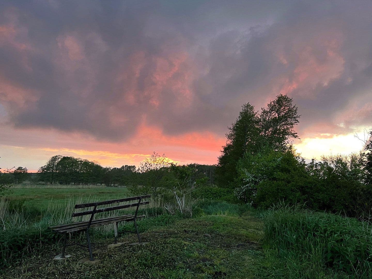 Prodej domu 244 m², pozemek 13.600 m², Dorfstraße, 16, Neuenkirchen, Mecklenburg-Vorpommern Prodej domu 244 m², pozemek 13.600 m², Dorfstraße, 16, Neuenkirchen, Mecklenburg-Vorpommern