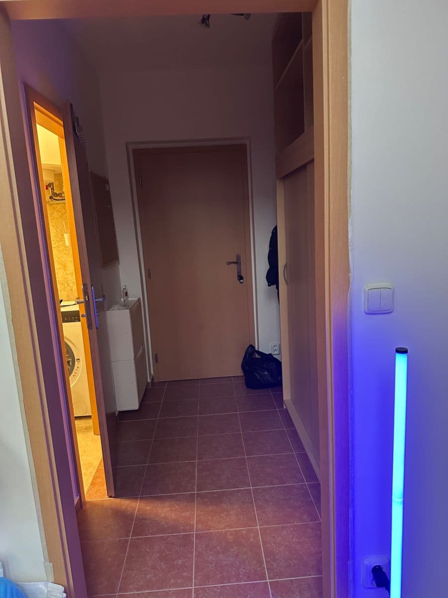 Pronájem bytu 1+kk 31 m², Slapy, Středočeský kraj Pronájem bytu 1+kk 31 m², Slapy, Středočeský kraj