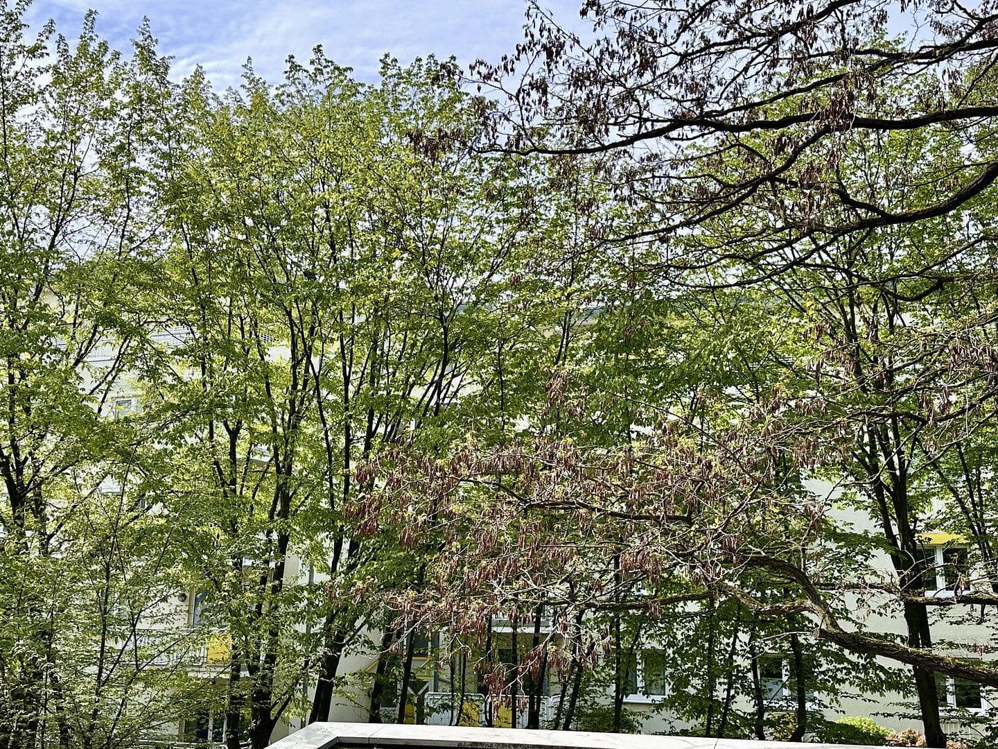 Pronájem bytu 4+1 105 m², Nesselrodestr. 18 b, Köln, Severní Porýní-Vestfálsko Pronájem bytu 4+1 105 m², Nesselrodestr. 18 b, Köln, Severní Porýní-Vestfálsko