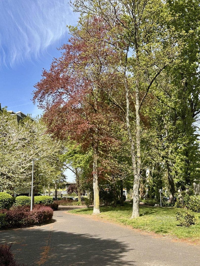 Pronájem bytu 4+1 105 m², Nesselrodestr. 18 b, Köln, Severní Porýní-Vestfálsko Pronájem bytu 4+1 105 m², Nesselrodestr. 18 b, Köln, Severní Porýní-Vestfálsko