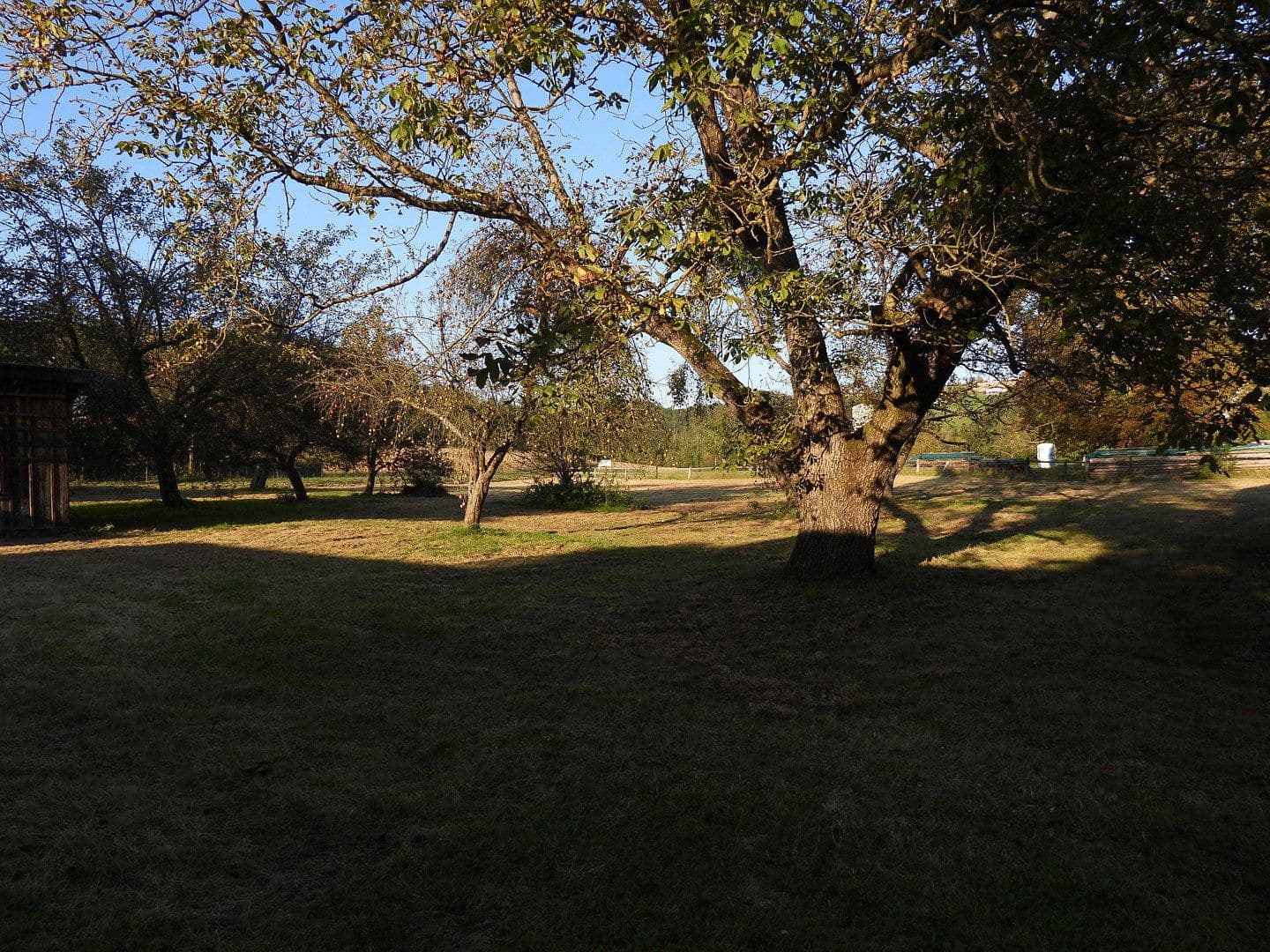 Prodej domu 104 m², pozemek 7.745 m², Neuhaus am Inn, Bavorsko Prodej domu 104 m², pozemek 7.745 m², Neuhaus am Inn, Bavorsko