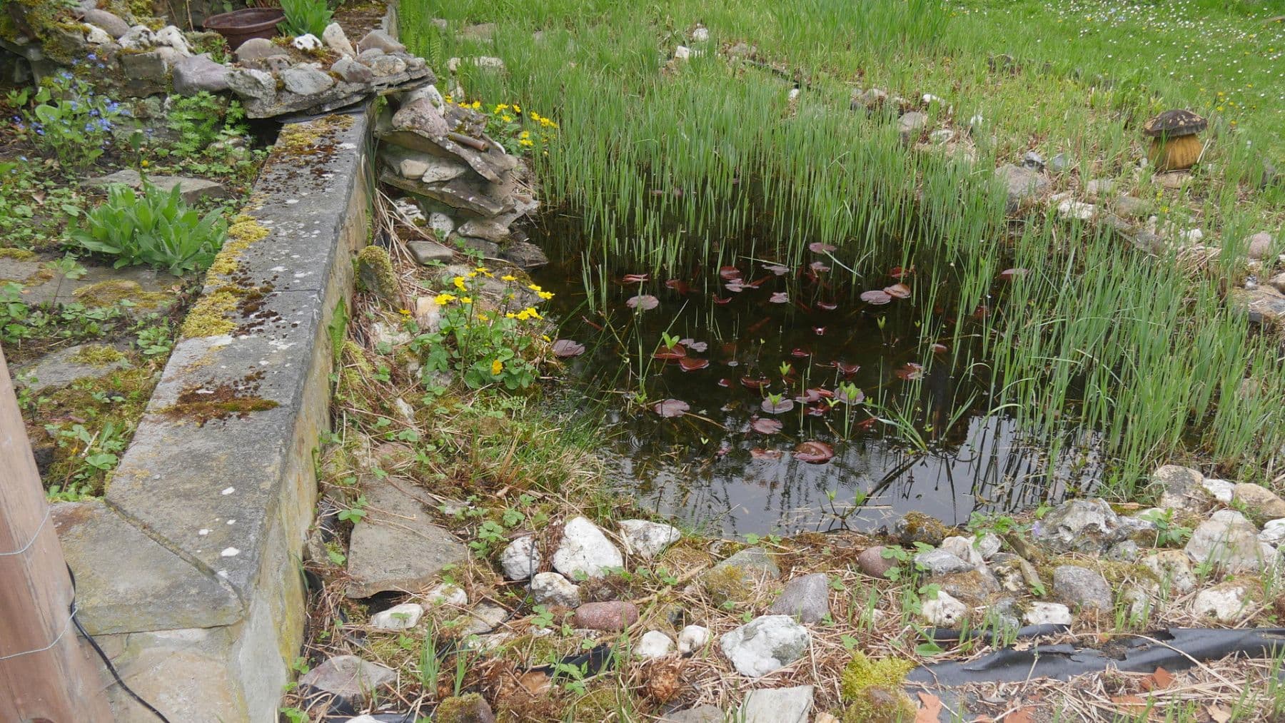 Pronájem domu 145 m², pozemek 581 m², Ratingen, Severní Porýní-Vestfálsko Pronájem domu 145 m², pozemek 581 m², Ratingen, Severní Porýní-Vestfálsko