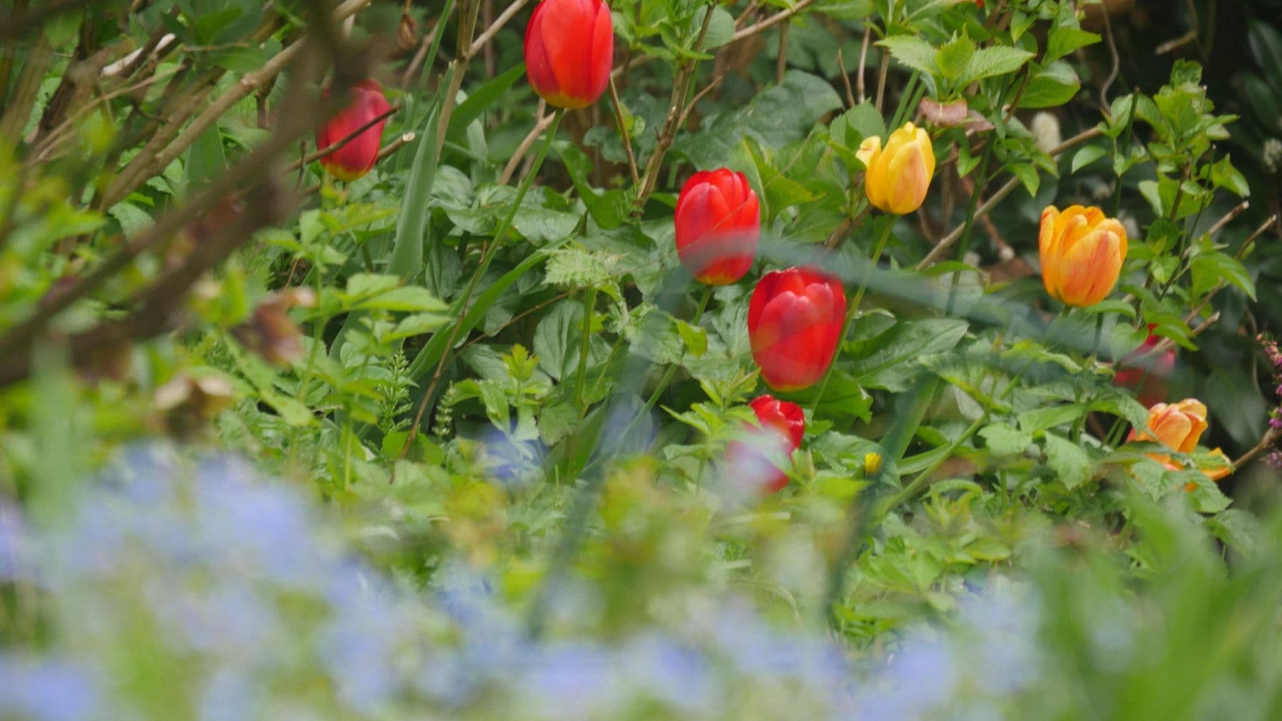 Pronájem domu 145 m², pozemek 581 m², Ratingen, Severní Porýní-Vestfálsko Pronájem domu 145 m², pozemek 581 m², Ratingen, Severní Porýní-Vestfálsko