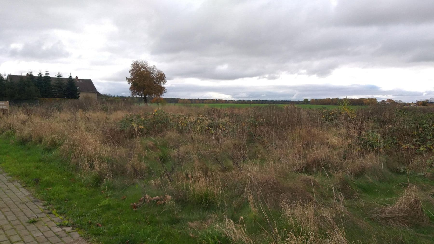 Prodej pozemku 2.270 m², Loitzer Strasse 3c, Süderholz, Mecklenburg-Vorpommern Prodej pozemku 2.270 m², Loitzer Strasse 3c, Süderholz, Mecklenburg-Vorpommern