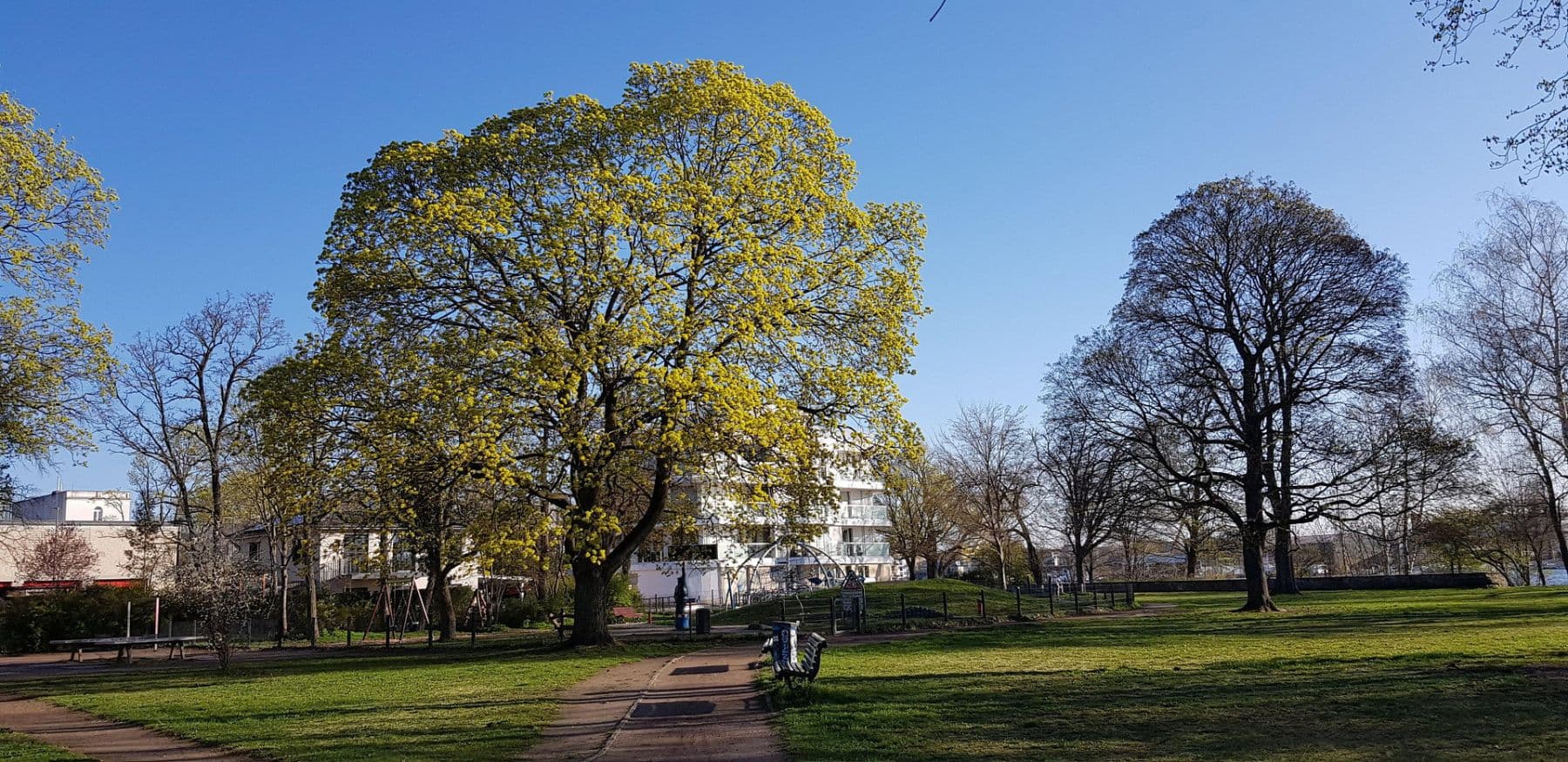 Prodej bytu 3+1 83 m², Regattastr. 35, Berlin, Berlín Prodej bytu 3+1 83 m², Regattastr. 35, Berlin, Berlín