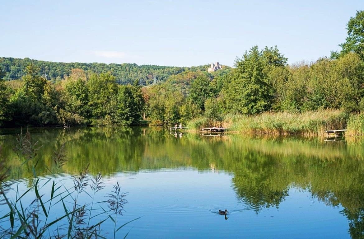Prodej bytu 1+kk 53 m², Lörracher Str. 90, Lörrach, Bádensko-Württembersko Prodej bytu 1+kk 53 m², Lörracher Str. 90, Lörrach, Bádensko-Württembersko