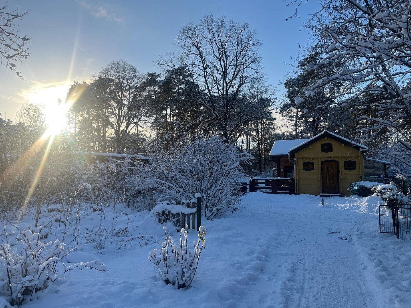 Prodej domu 126 m², pozemek 1.200 m², Borkheide, Braniborsko Prodej domu 126 m², pozemek 1.200 m², Borkheide, Braniborsko