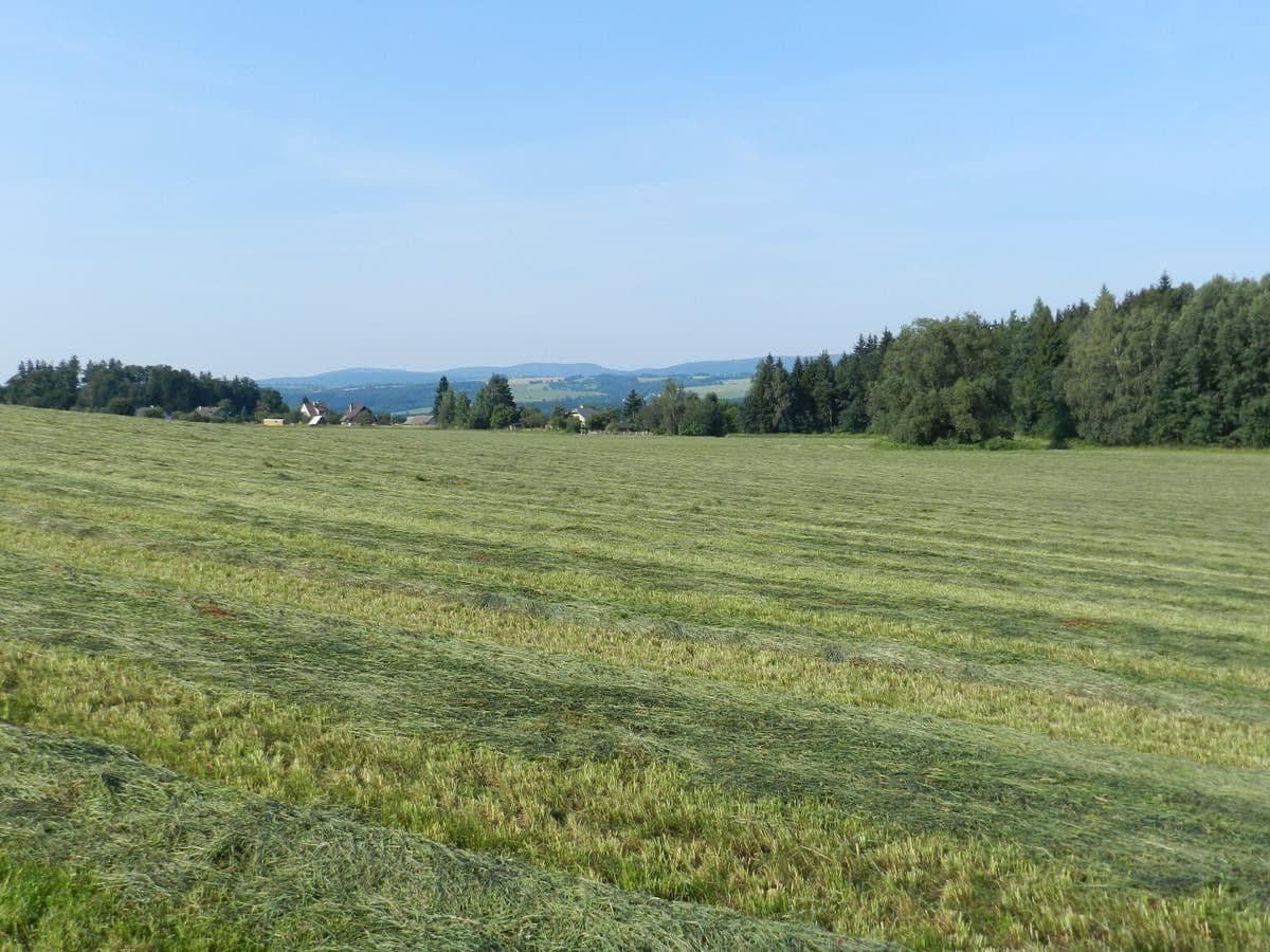 Prodej pozemku 43.627 m², Slatina nad Zdobnicí, Královéhradecký kraj Prodej pozemku 43.627 m², Slatina nad Zdobnicí, Královéhradecký kraj