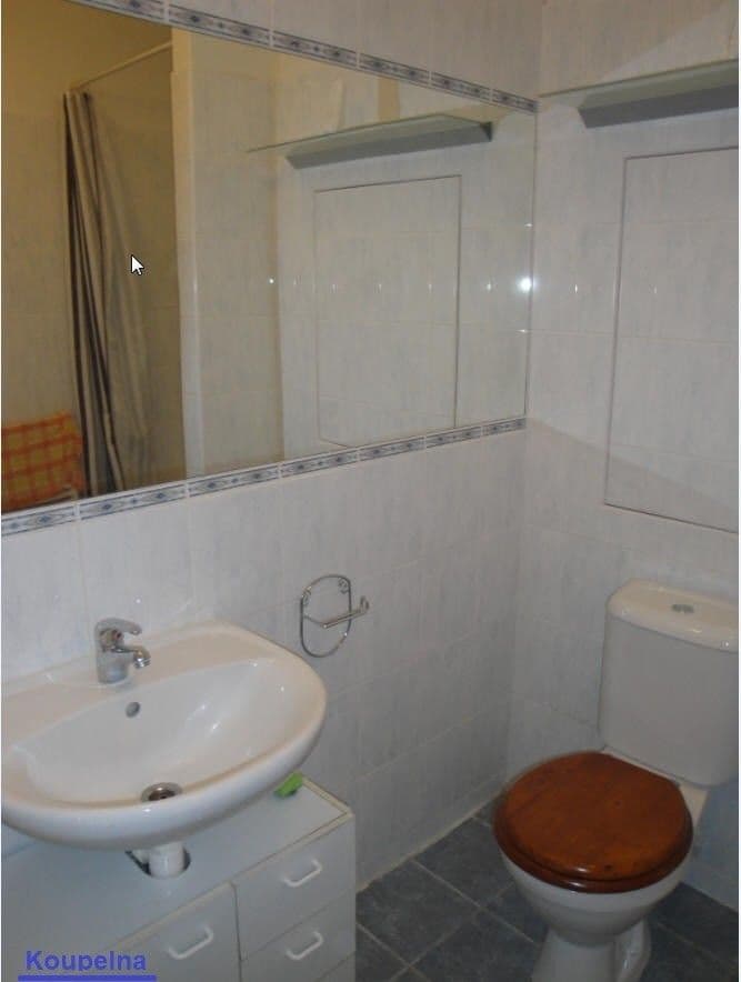 Pronájem bytu 1+kk 36 m², Čechova, Poděbrady, Středočeský kraj Pronájem bytu 1+kk 36 m², Čechova, Poděbrady, Středočeský kraj