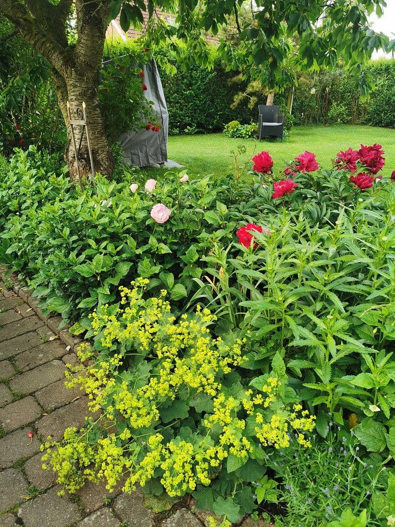 Prodej domu 125 m², pozemek 566 m², Lübeck, Šlesvicko-Holštýnsko Prodej domu 125 m², pozemek 566 m², Lübeck, Šlesvicko-Holštýnsko