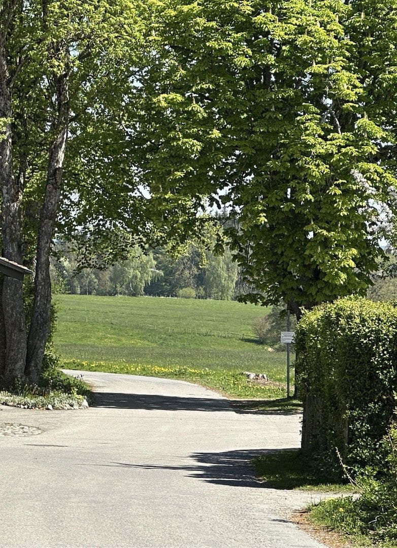 Prodej domu 127 m², pozemek 795 m², Alte Poststrasse 3, Irsee, Bavorsko Prodej domu 127 m², pozemek 795 m², Alte Poststrasse 3, Irsee, Bavorsko