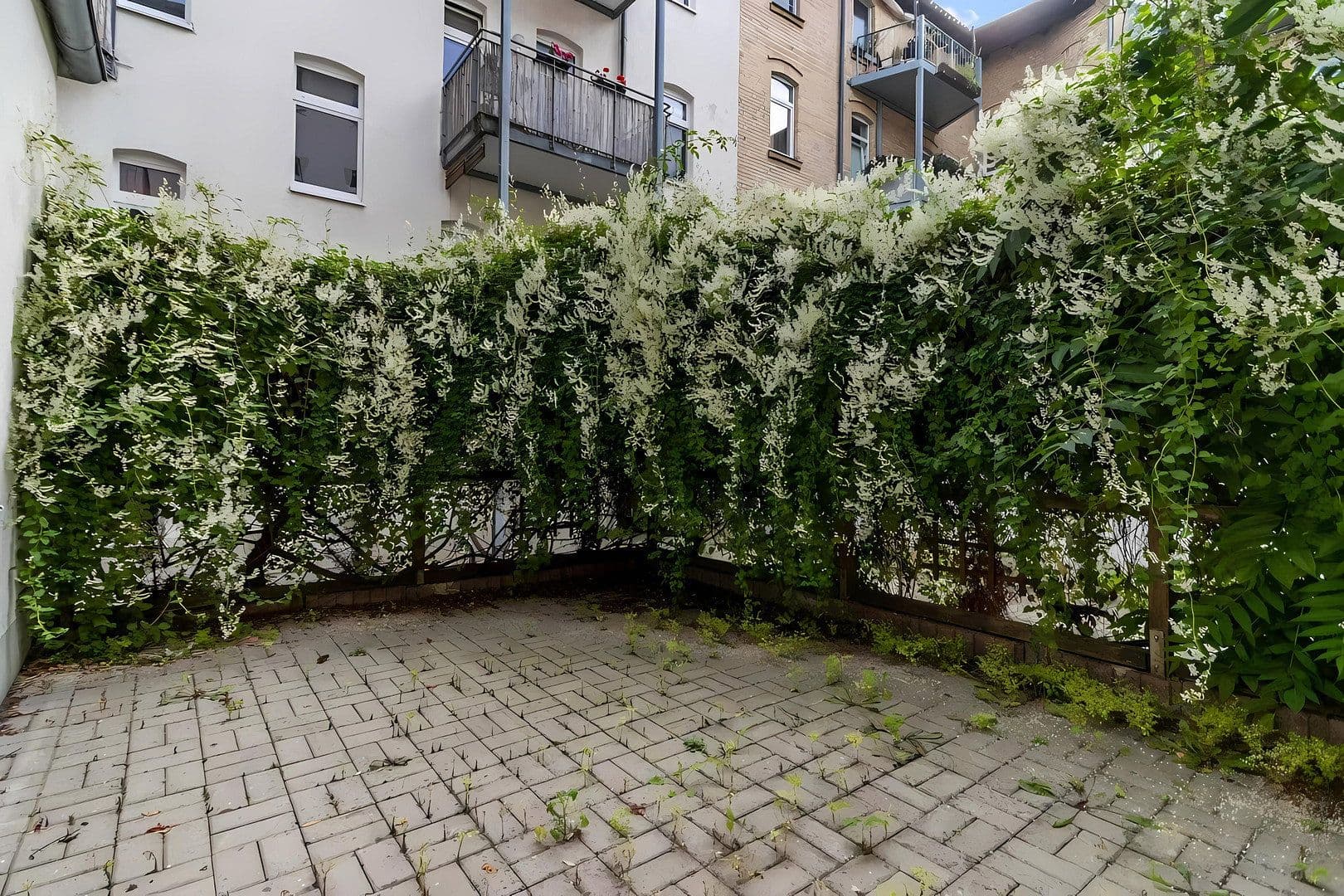 Pronájem bytu 3+1 90 m², Melanchthonstr. 42, Halle, Sasko-Anhaltsko Pronájem bytu 3+1 90 m², Melanchthonstr. 42, Halle, Sasko-Anhaltsko