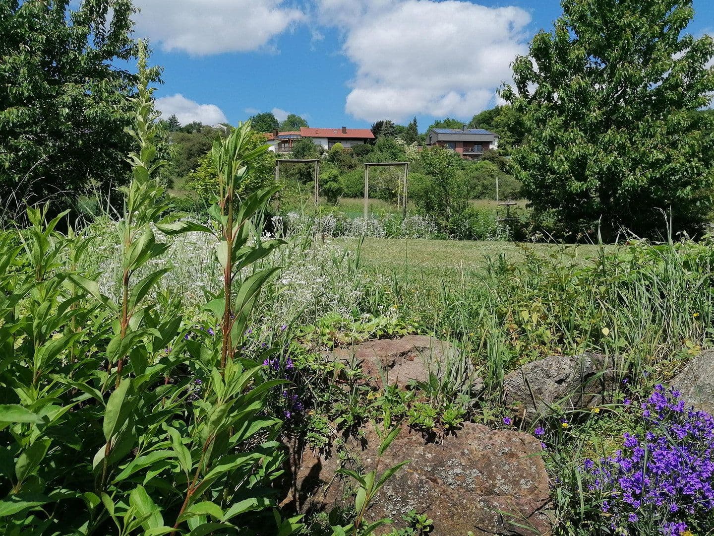 Prodej domu 224 m², pozemek 785 m², Weiler bei Bingen, Porýní-Falc Prodej domu 224 m², pozemek 785 m², Weiler bei Bingen, Porýní-Falc