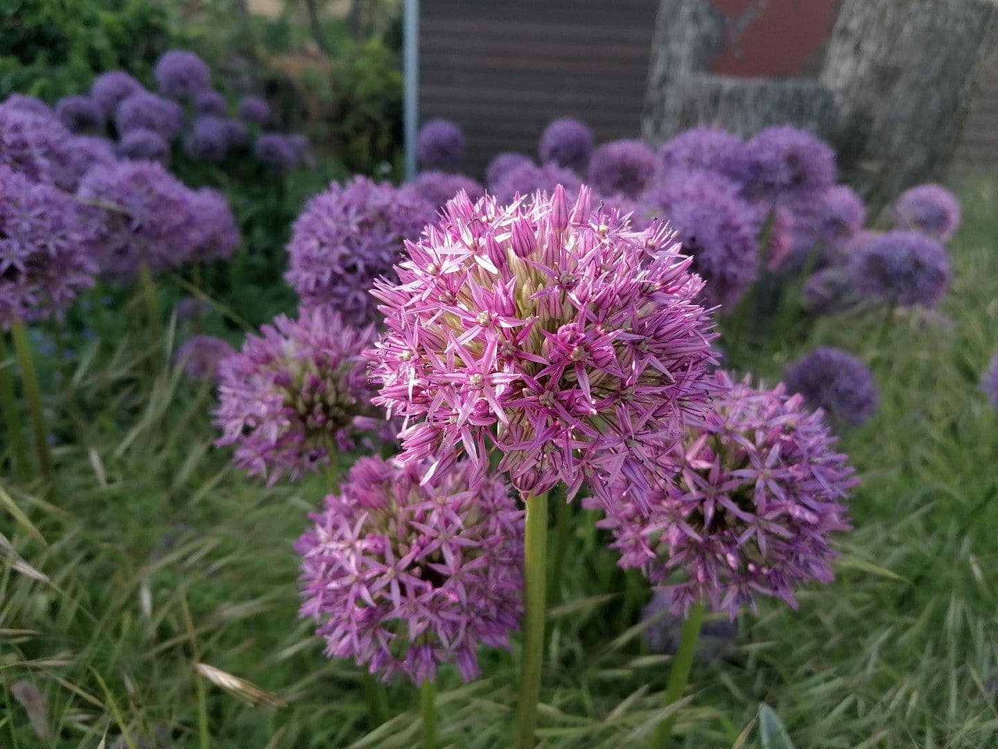 Prodej domu 224 m², pozemek 785 m², Weiler bei Bingen, Porýní-Falc Prodej domu 224 m², pozemek 785 m², Weiler bei Bingen, Porýní-Falc