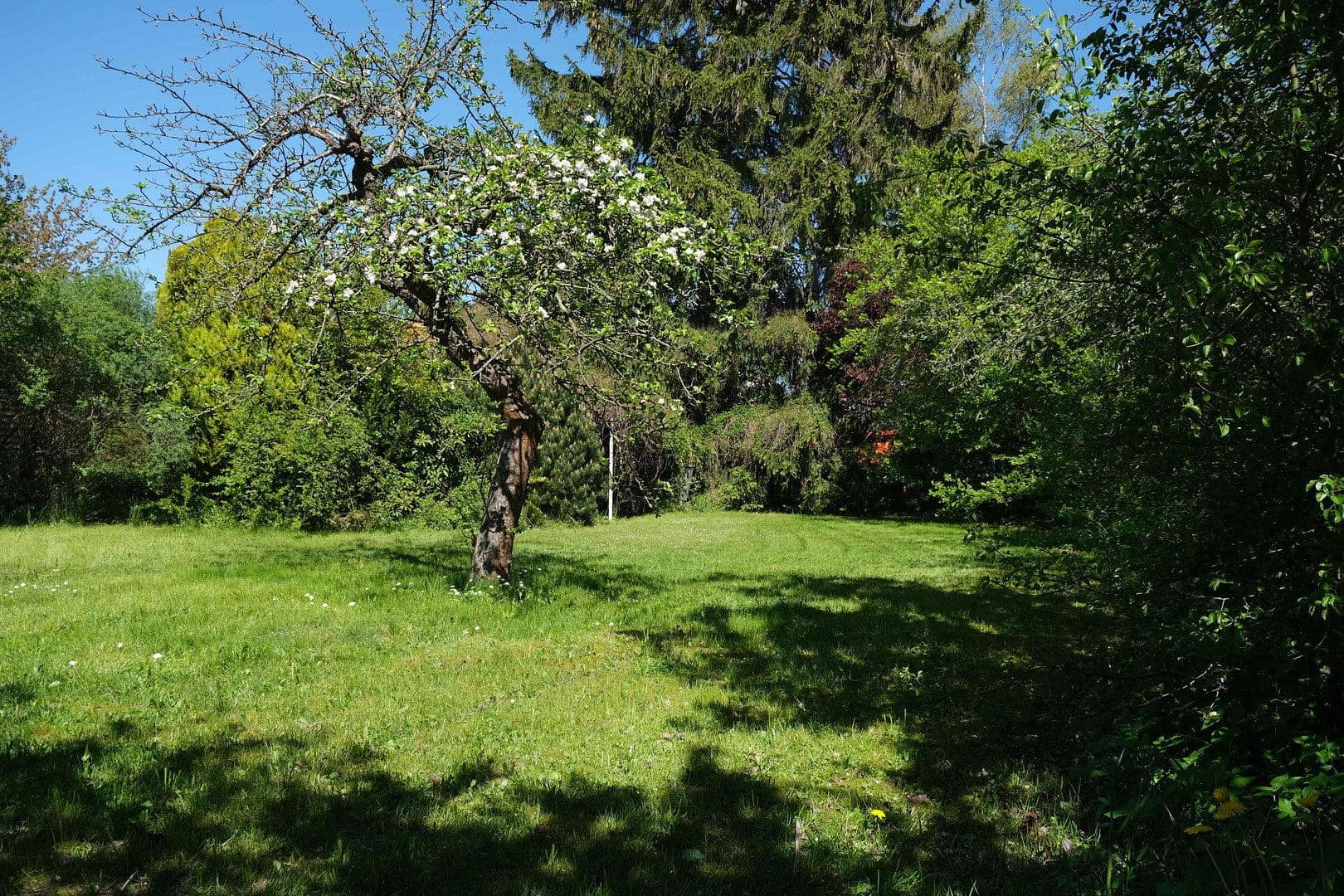 Prodej pozemku 698 m², Panketal, Braniborsko Prodej pozemku 698 m², Panketal, Braniborsko