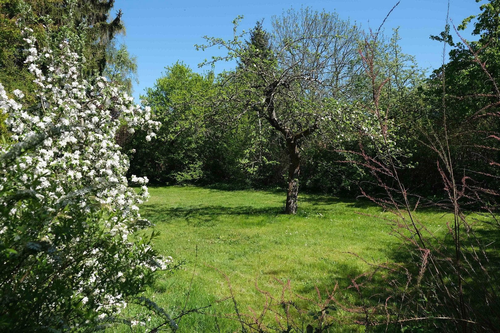 Prodej pozemku 698 m², Panketal, Braniborsko Prodej pozemku 698 m², Panketal, Braniborsko