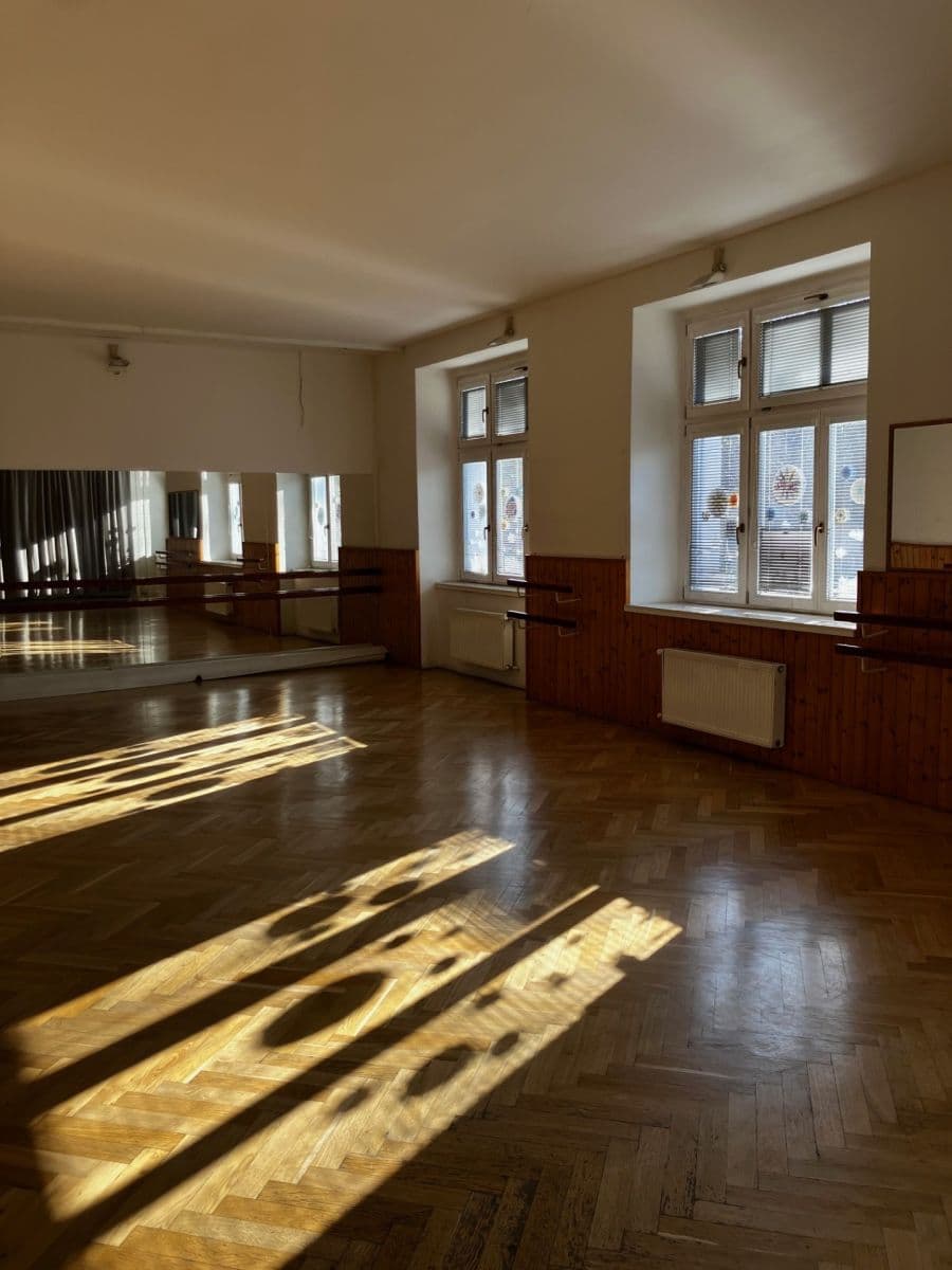 Pronájem nebytového prostoru 755 m², Smetanova, Kralupy nad Vltavou, Středočeský kraj Pronájem nebytového prostoru 755 m², Smetanova, Kralupy nad Vltavou, Středočeský kraj