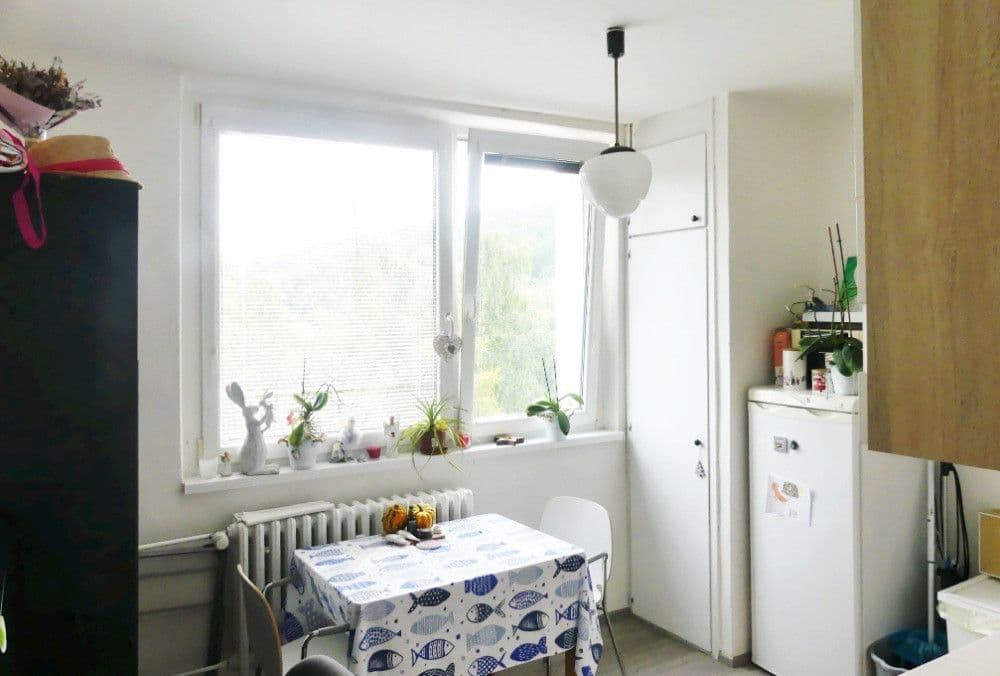 Pronájem bytu 1+1 36 m², Borodinova, Brno, Jihomoravský kraj Pronájem bytu 1+1 36 m², Borodinova, Brno, Jihomoravský kraj