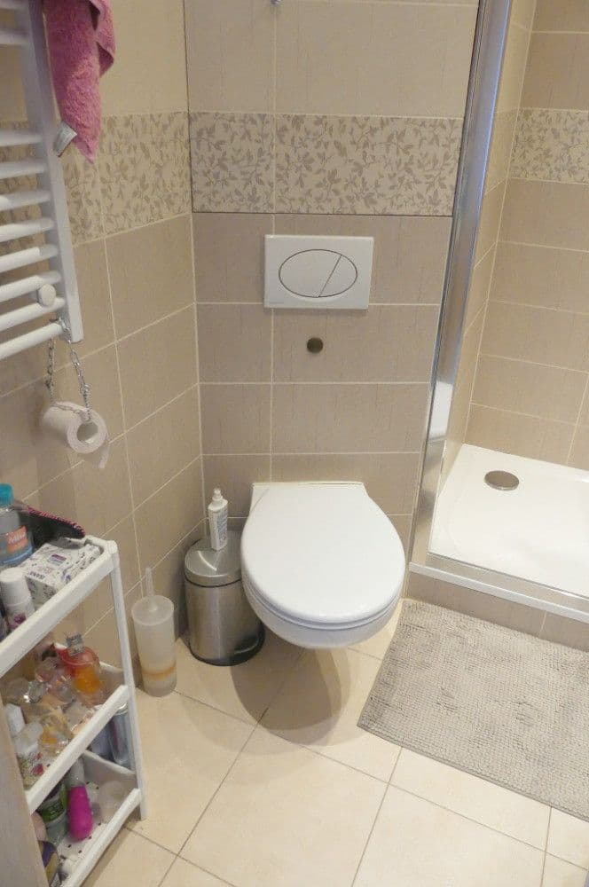 Pronájem bytu 1+1 36 m², Borodinova, Brno, Jihomoravský kraj Pronájem bytu 1+1 36 m², Borodinova, Brno, Jihomoravský kraj