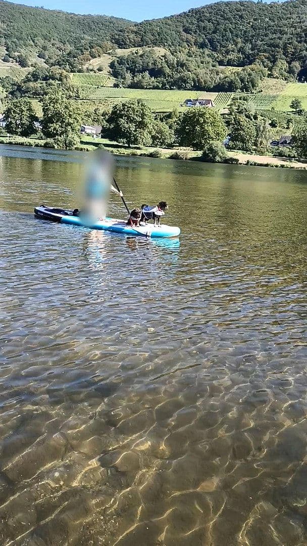 Prodej domu 399 m², pozemek 304 m², Senheim, Porýní-Falc Prodej domu 399 m², pozemek 304 m², Senheim, Porýní-Falc