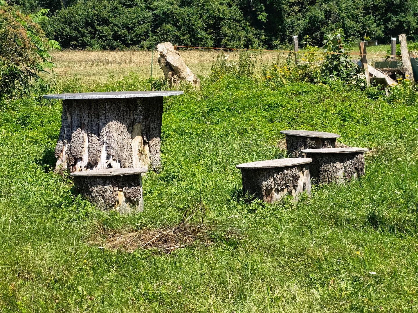 Prodej domu 248 m², pozemek 1.060 m², Rosegg, Korutany Prodej domu 248 m², pozemek 1.060 m², Rosegg, Korutany