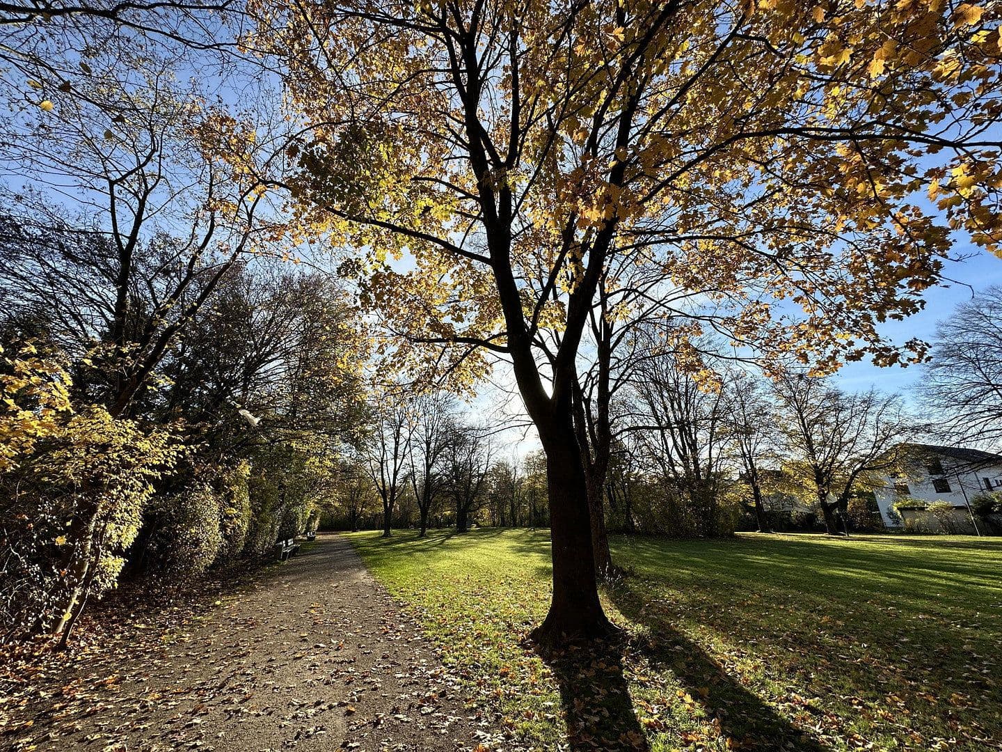 Pronájem bytu 5+1 141 m², Sudetendeutsche Straße 31a, München, Bavorsko Pronájem bytu 5+1 141 m², Sudetendeutsche Straße 31a, München, Bavorsko