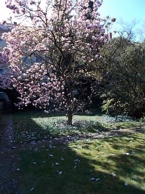 Prodej bytu 2+1 62 m², Berlin, Berlín Prodej bytu 2+1 62 m², Berlin, Berlín