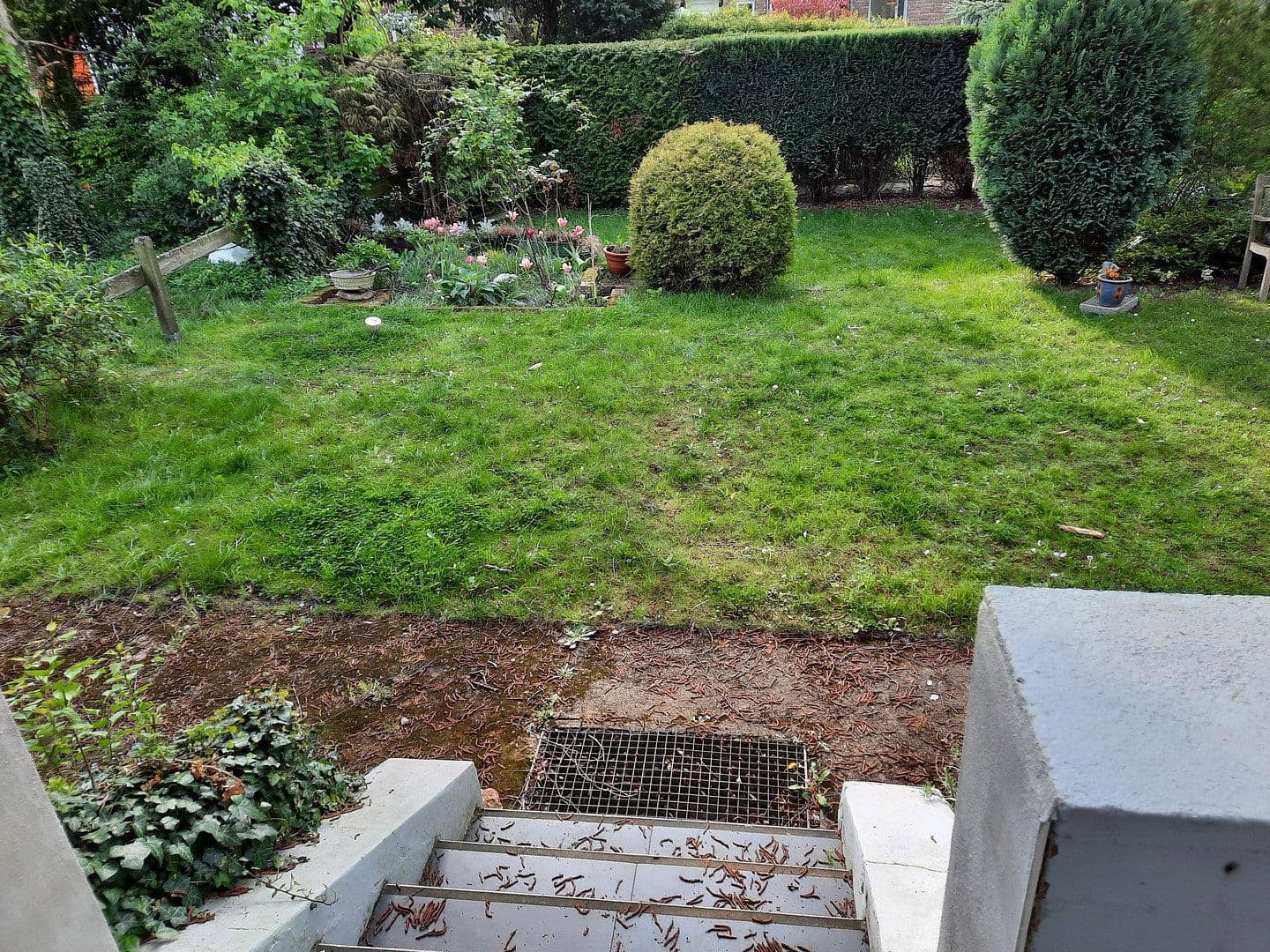 Pronájem bytu 2+1 57 m², Meerbusch, Severní Porýní-Vestfálsko Pronájem bytu 2+1 57 m², Meerbusch, Severní Porýní-Vestfálsko