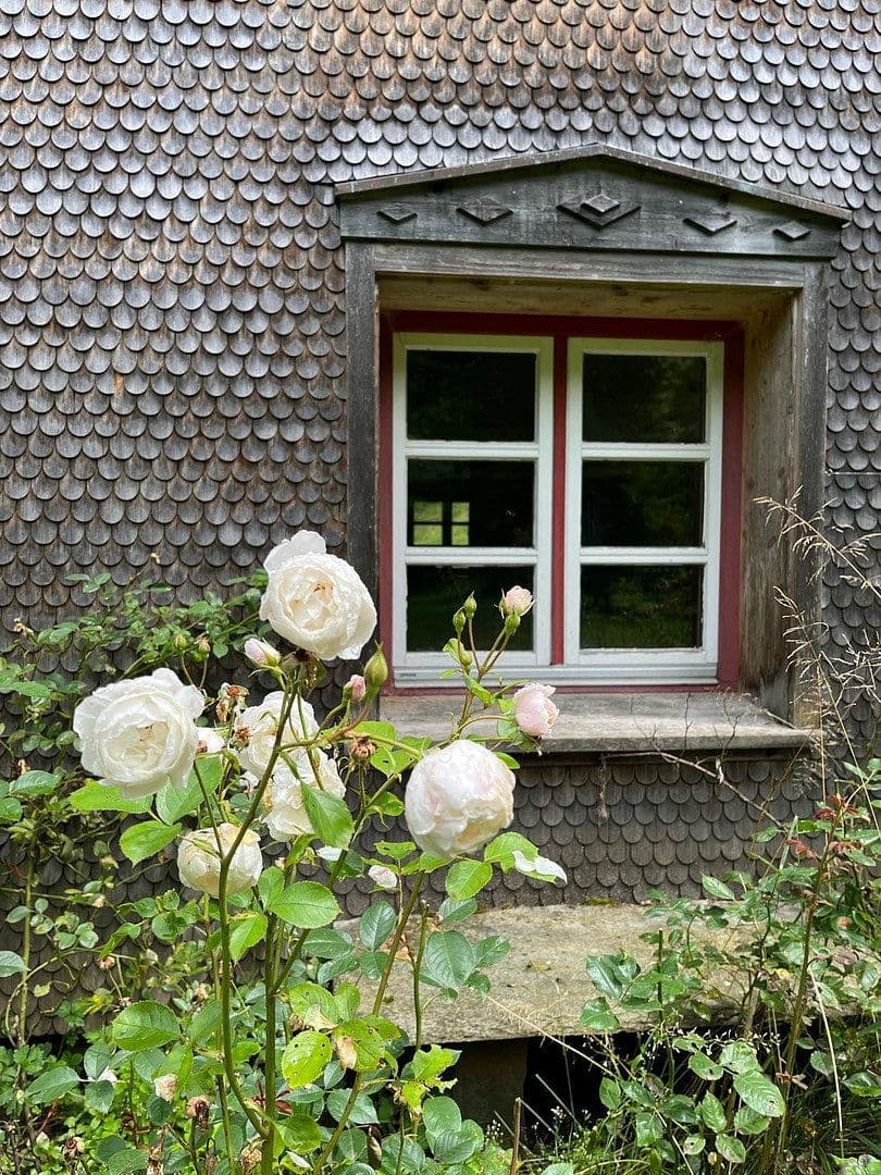 Prodej domu 440 m², pozemek 990 m², Weiler-Simmerberg, Bavorsko Prodej domu 440 m², pozemek 990 m², Weiler-Simmerberg, Bavorsko