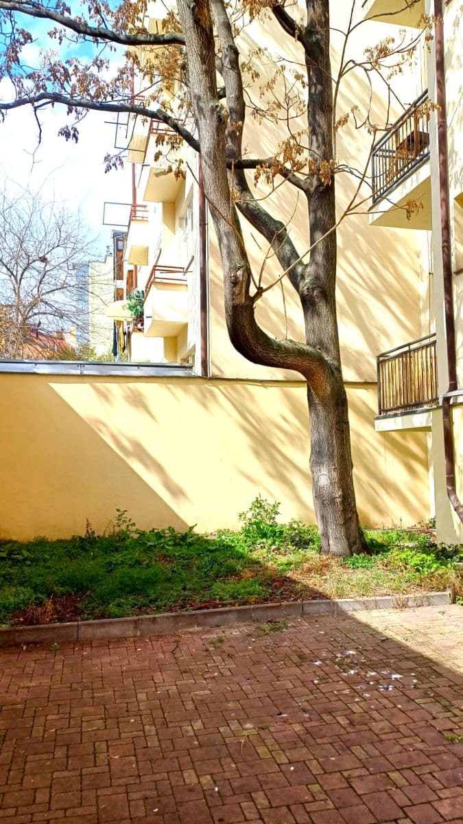 Prodej bytu 1+1 40 m², Francouzská, Praha, Praha Prodej bytu 1+1 40 m², Francouzská, Praha, Praha