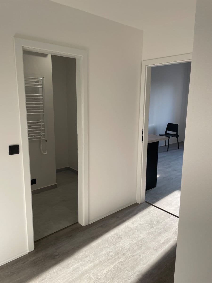 Pronájem bytu 1+kk 40 m², Štefánikova, Brno, Jihomoravský kraj Pronájem bytu 1+kk 40 m², Štefánikova, Brno, Jihomoravský kraj