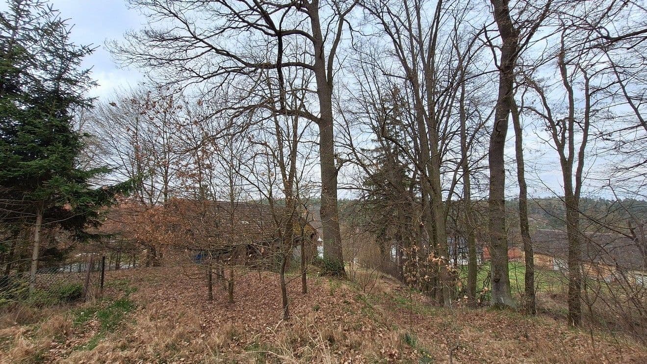 Prodej pozemku 2.865 m², Vlašim, Středočeský kraj Prodej pozemku 2.865 m², Vlašim, Středočeský kraj