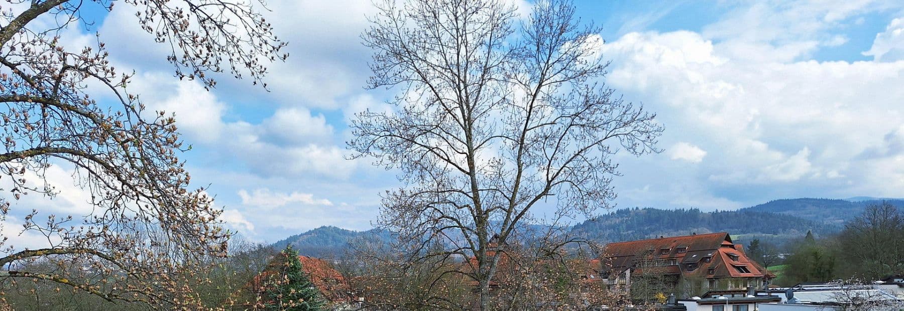 Prodej bytu 3+1 92 m², Freiburg im Breisgau, Bádensko-Württembersko Prodej bytu 3+1 92 m², Freiburg im Breisgau, Bádensko-Württembersko