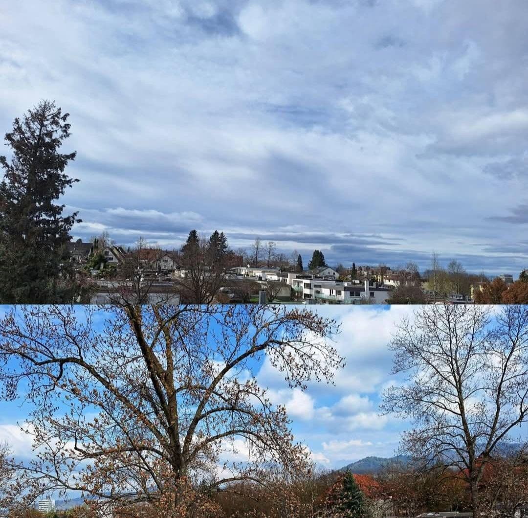 Prodej bytu 3+1 92 m², Freiburg im Breisgau, Bádensko-Württembersko Prodej bytu 3+1 92 m², Freiburg im Breisgau, Bádensko-Württembersko