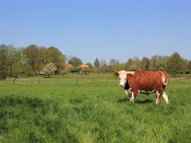 Pronájem bytu 2+1 68 m², Niendorfer Weg 12, Altenmedingen, Dolní Sasko Pronájem bytu 2+1 68 m², Niendorfer Weg 12, Altenmedingen, Dolní Sasko