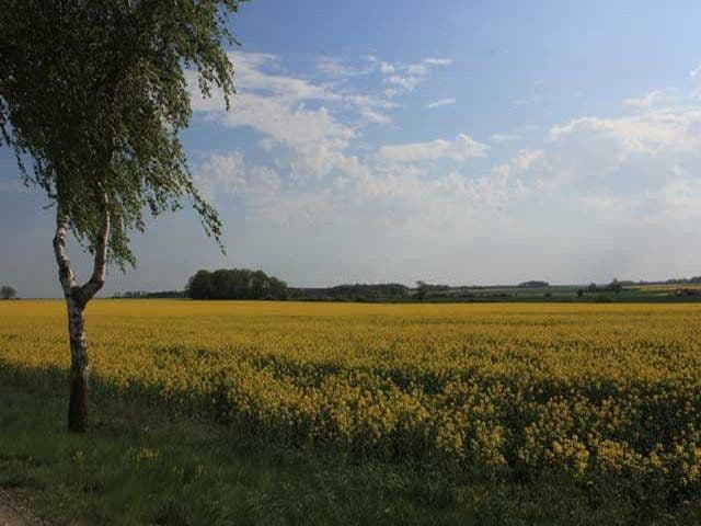 Pronájem bytu 2+1 68 m², Niendorfer Weg 12, Altenmedingen, Dolní Sasko Pronájem bytu 2+1 68 m², Niendorfer Weg 12, Altenmedingen, Dolní Sasko