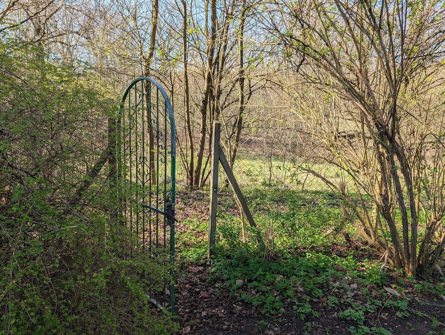 Prodej domu 133 m², pozemek 850 m², Silker Weiche 7, Reinbek, Šlesvicko-Holštýnsko Prodej domu 133 m², pozemek 850 m², Silker Weiche 7, Reinbek, Šlesvicko-Holštýnsko