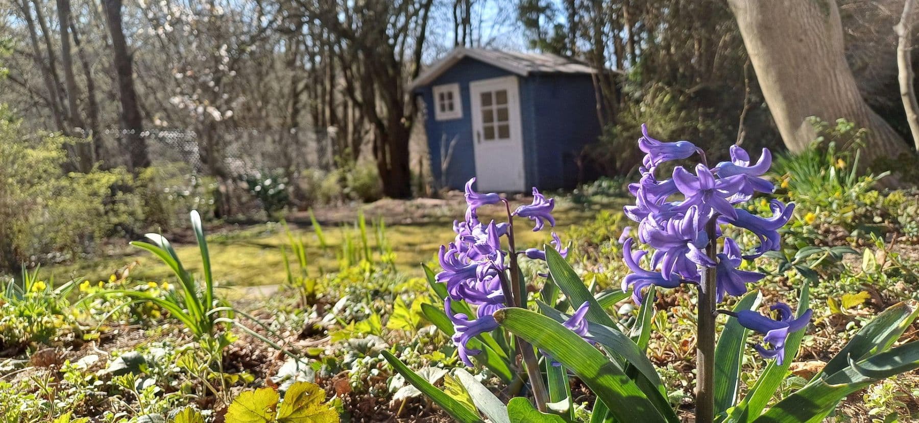 Prodej domu 133 m², pozemek 850 m², Silker Weiche 7, Reinbek, Šlesvicko-Holštýnsko Prodej domu 133 m², pozemek 850 m², Silker Weiche 7, Reinbek, Šlesvicko-Holštýnsko