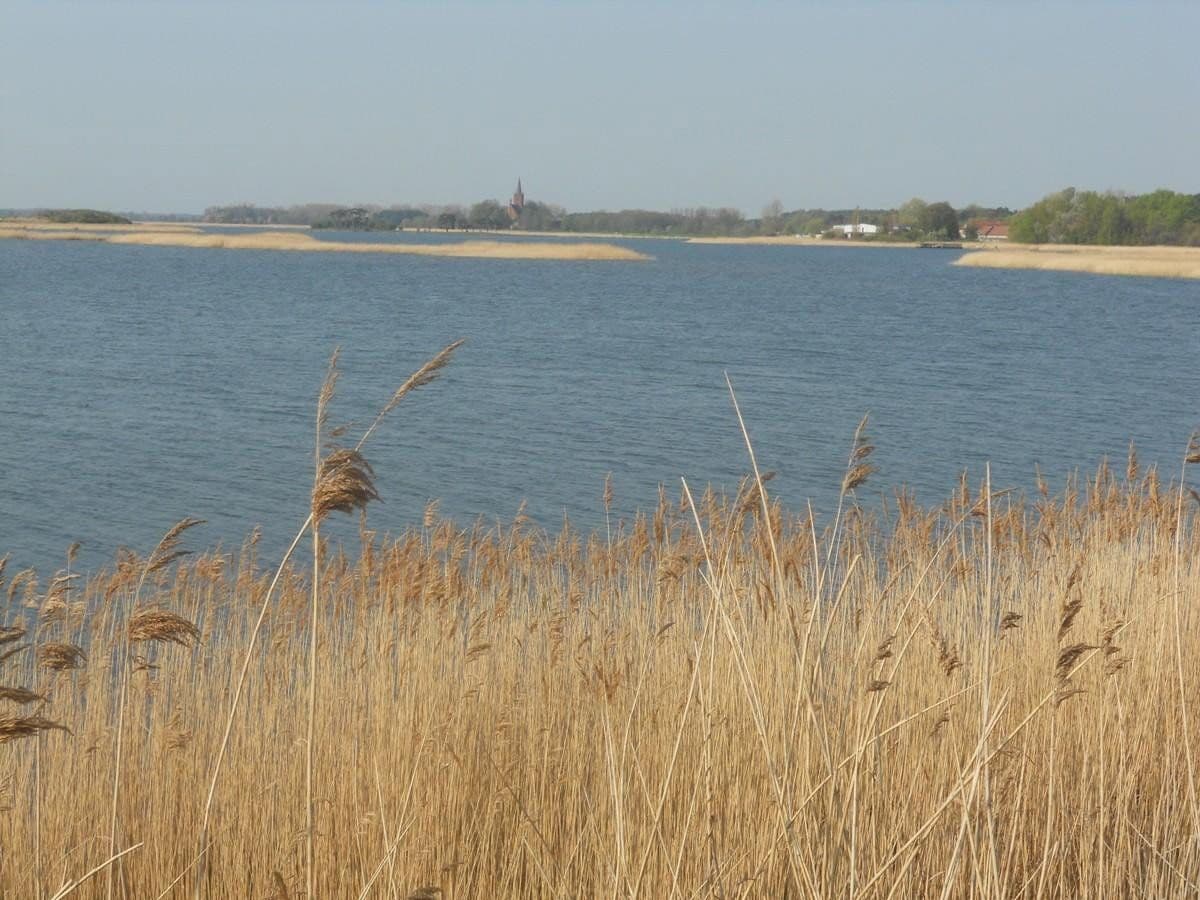 Pronájem bytu 3+1 58 m², Greifswald, Mecklenburg-Vorpommern Pronájem bytu 3+1 58 m², Greifswald, Mecklenburg-Vorpommern