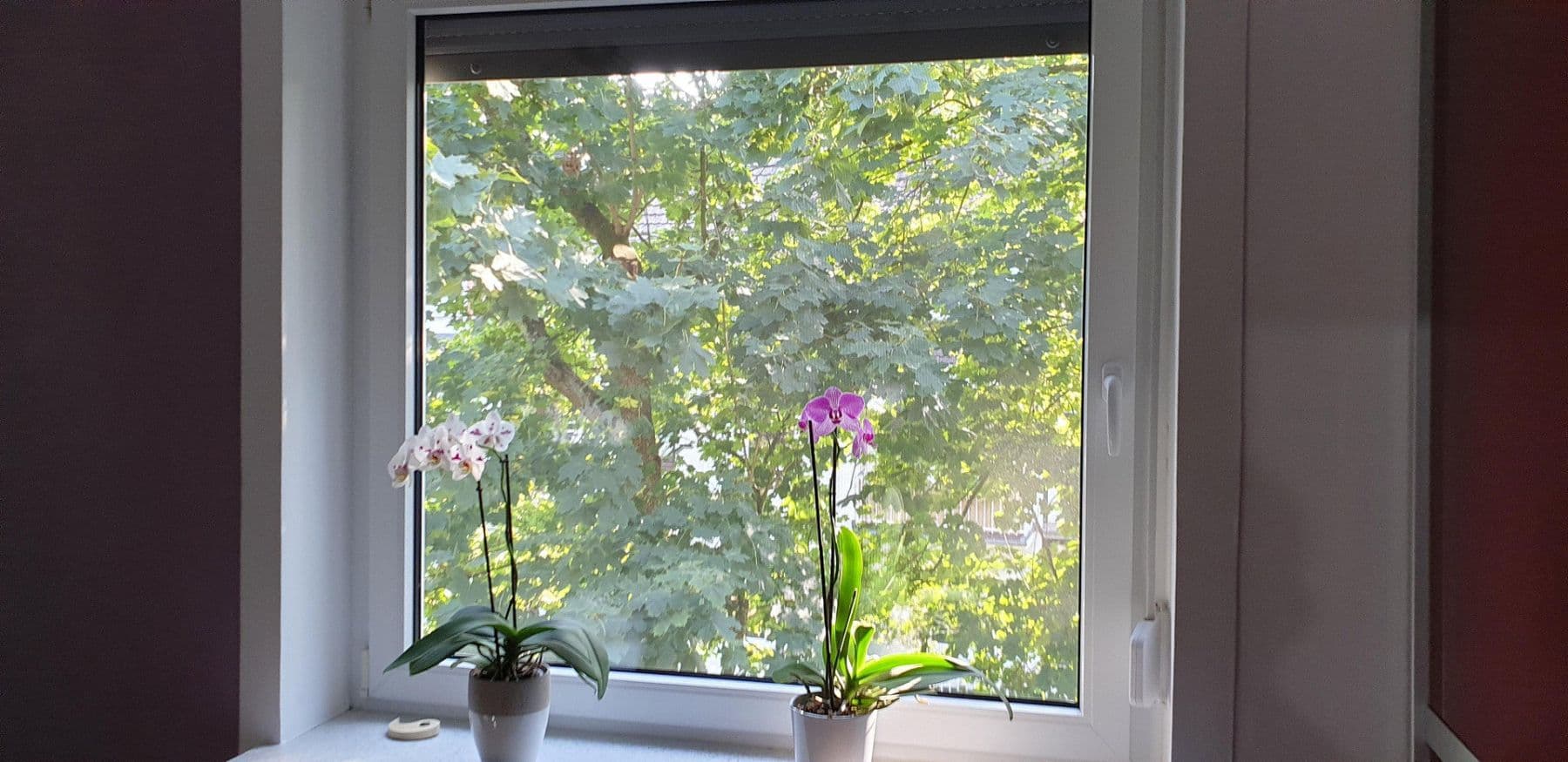 Prodej bytu 3+1 71 m², Bremen, Bremen Prodej bytu 3+1 71 m², Bremen, Bremen