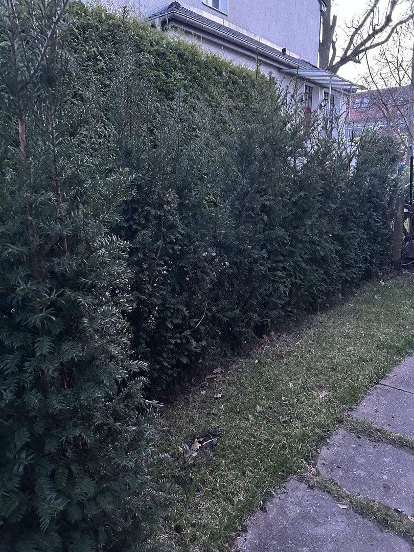 Prodej domu 128 m², pozemek 288 m², Berlin, Berlín Prodej domu 128 m², pozemek 288 m², Berlin, Berlín