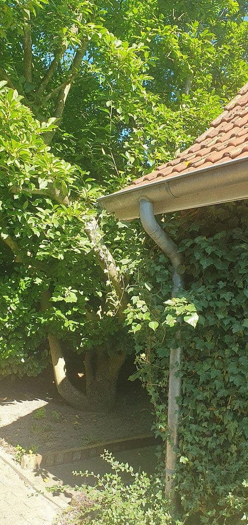 Prodej domu 212 m², pozemek 1.883 m², Quelkhorner Landstraße 3, Ottersberg, Dolní Sasko Prodej domu 212 m², pozemek 1.883 m², Quelkhorner Landstraße 3, Ottersberg, Dolní Sasko