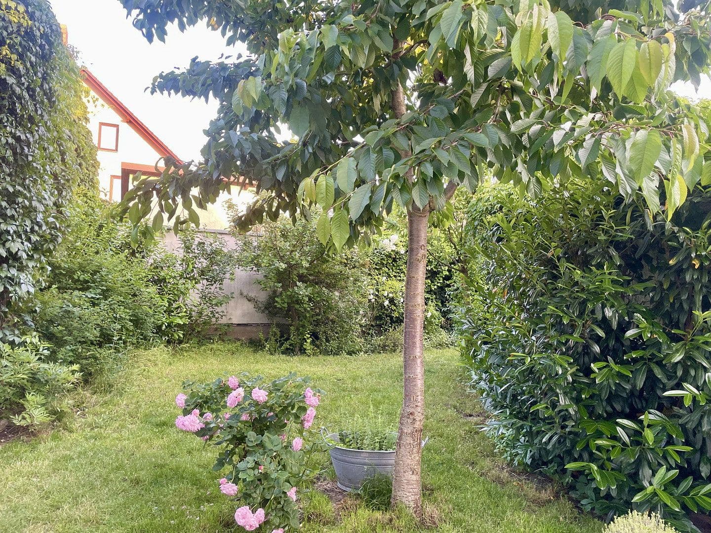 Prodej domu 230 m², pozemek 567 m², Waldsieversdorf, Braniborsko Prodej domu 230 m², pozemek 567 m², Waldsieversdorf, Braniborsko