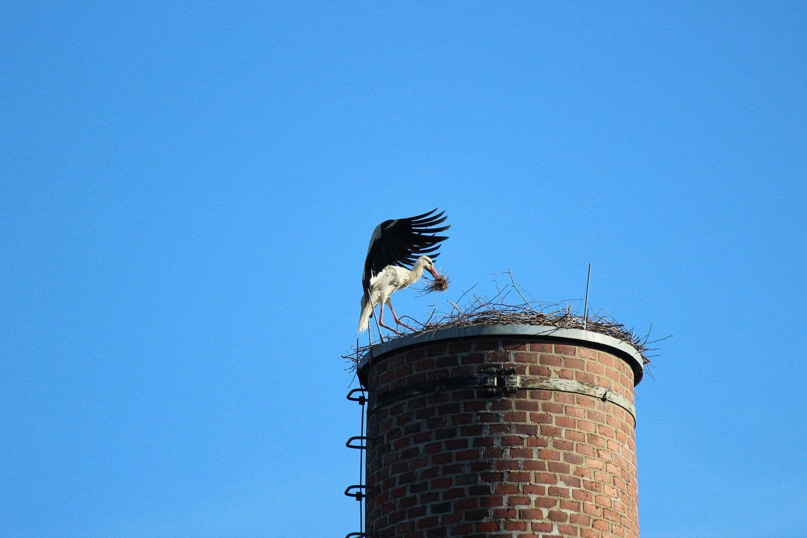 Pronájem bytu 2+1 56 m², Kitscherstr, 10, Křemeničov, Sasko Pronájem bytu 2+1 56 m², Kitscherstr, 10, Křemeničov, Sasko