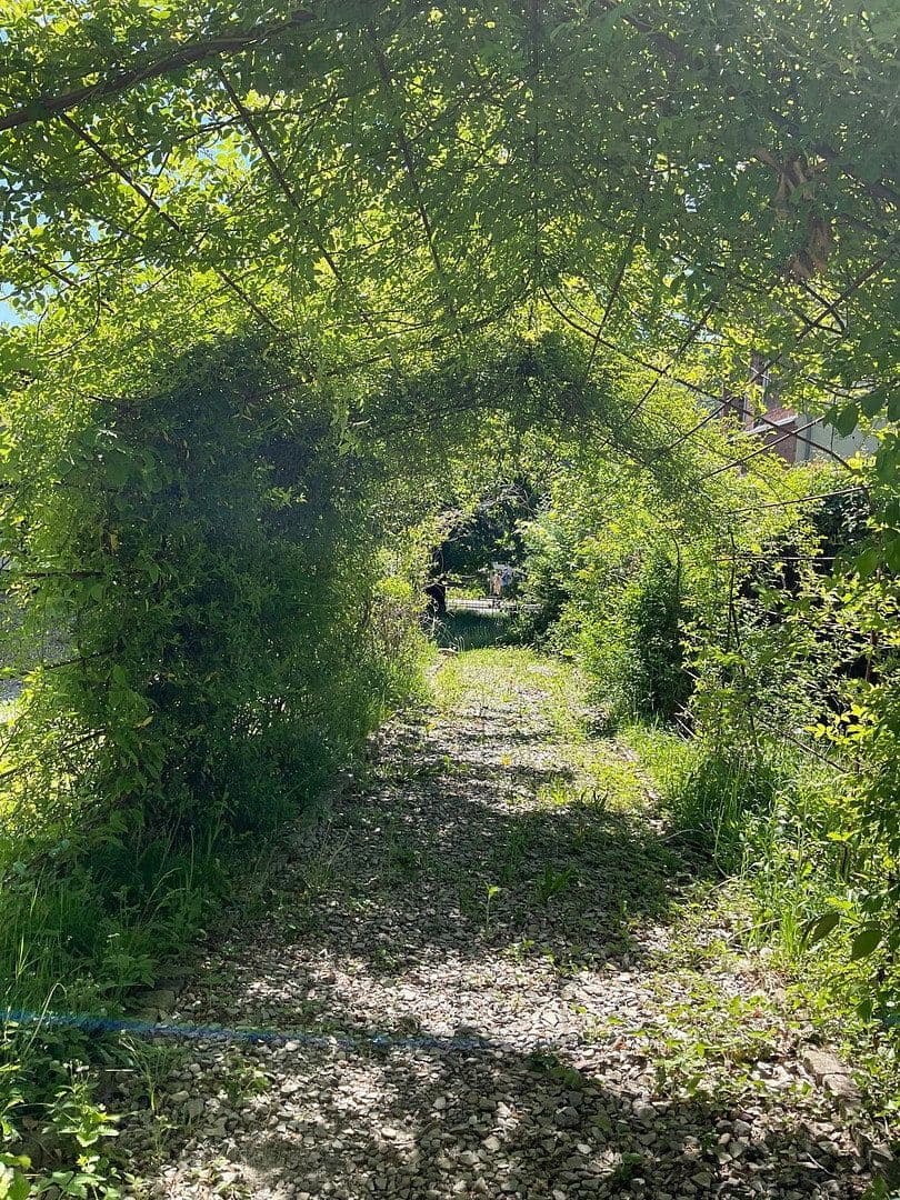 Prodej domu 800 m², pozemek 3.821 m², Bad Karlshafen, Hessen Prodej domu 800 m², pozemek 3.821 m², Bad Karlshafen, Hessen