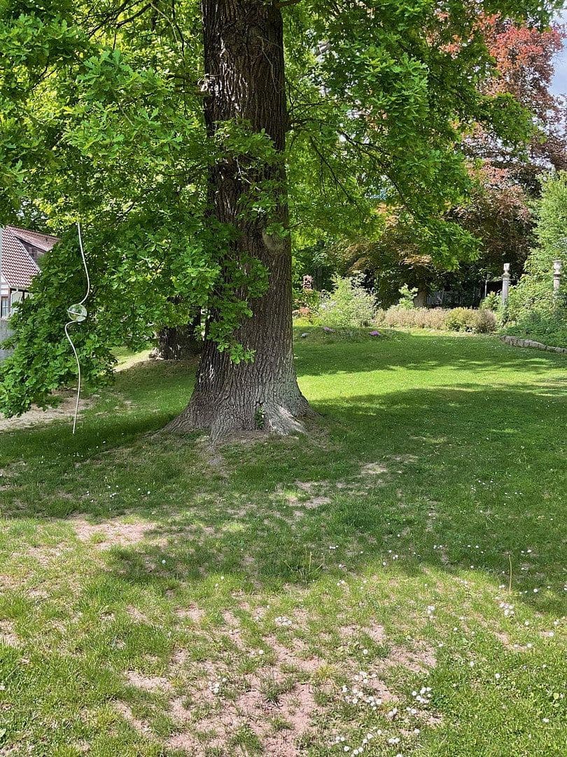 Prodej domu 800 m², pozemek 3.821 m², Bad Karlshafen, Hessen Prodej domu 800 m², pozemek 3.821 m², Bad Karlshafen, Hessen