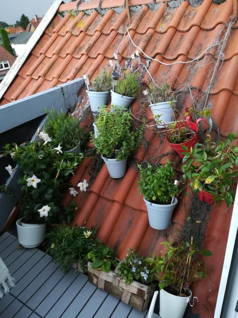 Pronájem bytu 1+1 40 m², Lindenstraße 12, Pönitz, Šlesvicko-Holštýnsko Pronájem bytu 1+1 40 m², Lindenstraße 12, Pönitz, Šlesvicko-Holštýnsko