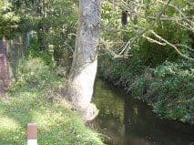 Prodej domu 400 m², pozemek 3.444 m², Sanitzer Str. 27, Sanitz, Mecklenburg-Vorpommern Prodej domu 400 m², pozemek 3.444 m², Sanitzer Str. 27, Sanitz, Mecklenburg-Vorpommern