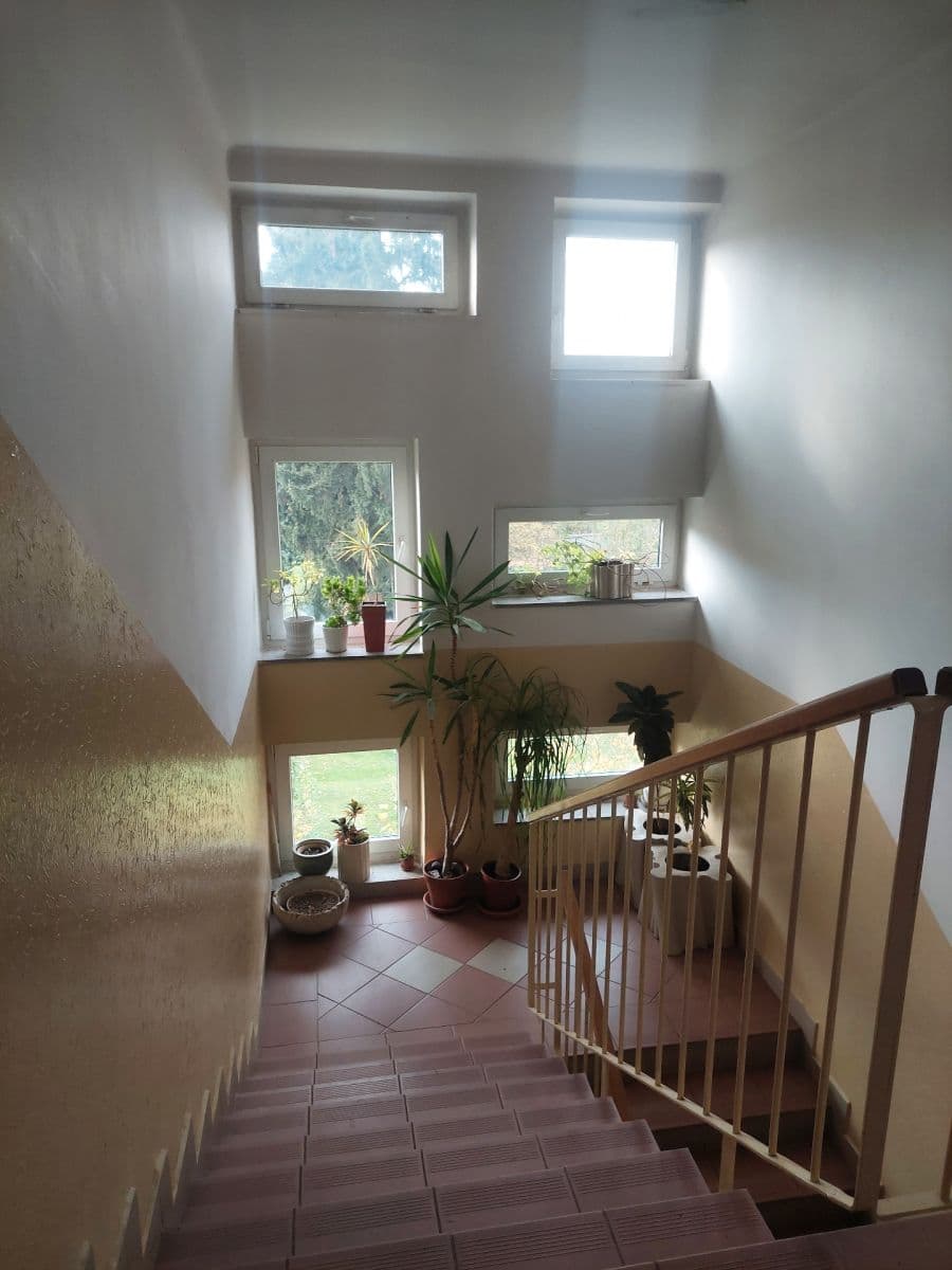 Pronájem bytu 2+1 53 m², Višňová, Praha, Praha Pronájem bytu 2+1 53 m², Višňová, Praha, Praha